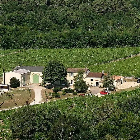 Domaine De Grand Homme *